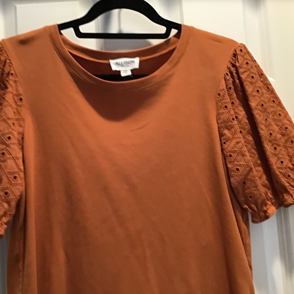 Allison New York Puff sleeve top